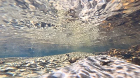 Underwater View of a Clear Freshwater Stream with Golden Sunlight Stock Footage 342231371
