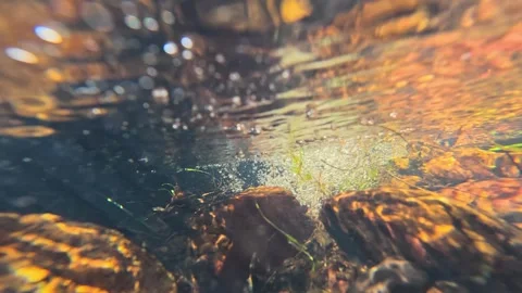 Underwater View of Clear Stream Flowing Over River Rocks Stock Footage 345792042