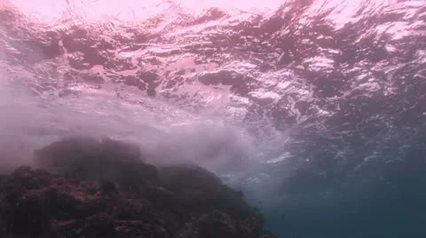 Underwater View of Coral Reef 2 스톡 동영상 19090041