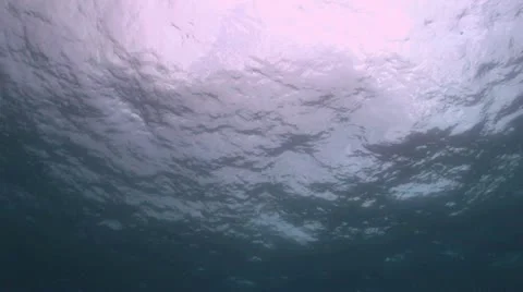 Underwater View From A Coral Reef 스톡 동영상 19092216