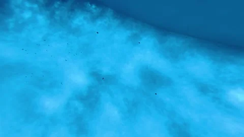Underwater View of Dirty Swimming Pool Floor Stock Footage 345513606