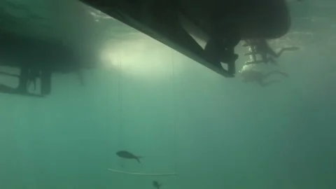 Underwater view of dive deck basking in sun. Stock Footage 234866275