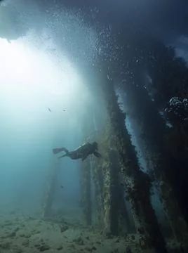 Underwater view of a diver in the deep blue sea near corals near pier support. Stock Photos