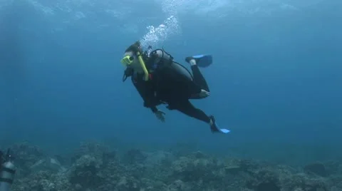 Underwater View of A Diving Team Swimming Through A Coral Reef Video stock 19091766