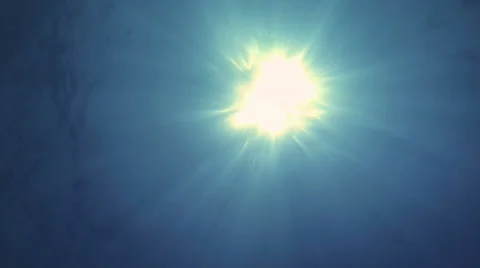 Underwater View of Fish and Sun Stock-Footage 29939784