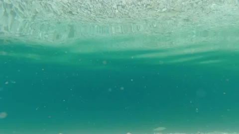 Underwater view of fish swimming in pristine lake Stock Footage 163015543