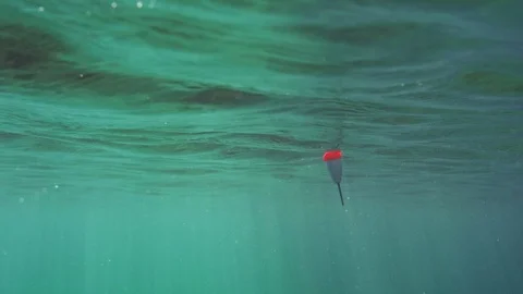 Underwater view of fishing float moving on water surface Stock Footage 121677411