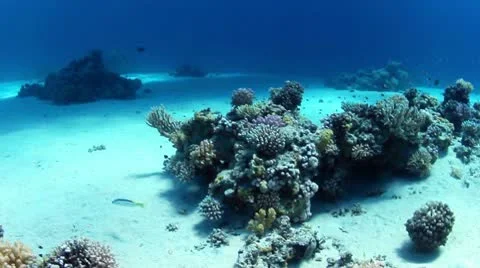 Underwater view Stock Footage 10587128