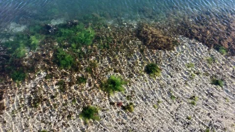 Underwater View Stock Footage 98371800