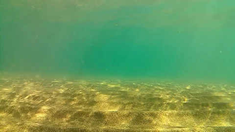 Underwater view Stock Footage 105469285