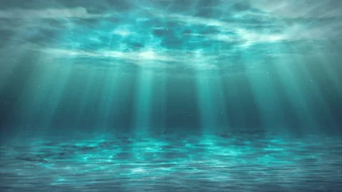 Underwater View Stock Footage 133379235
