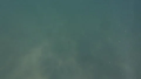 Underwater view Stock Footage 331793934