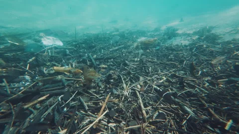 Underwater view of the garbage on the sea bed near the island of Ilha Grande in Stock Footage 339274072