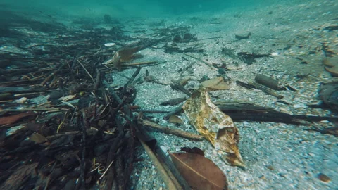 Underwater view of the garbage on the sea bed near the island of Ilha Grande in Stock Footage 343635586