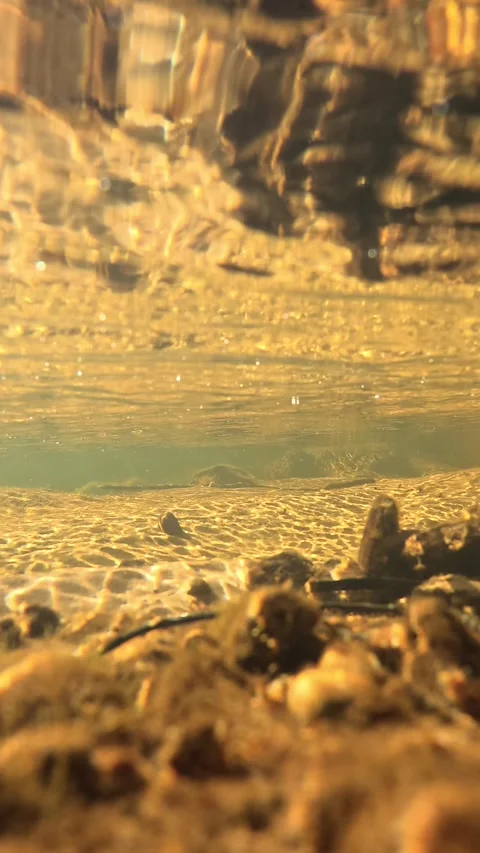 Underwater View of Golden Sun Rays Over Sandy Riverbed Stockbeeldmateriaal 341836760