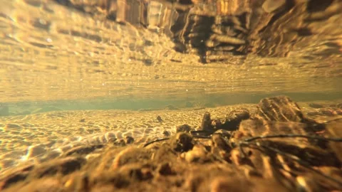 Underwater View of Golden Sun Rays in a Freshwater Stream Stockbeeldmateriaal 341838795