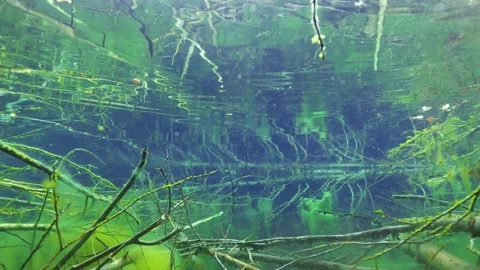 Underwater view of groundwater spring pool Stock Footage 157018788