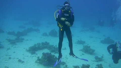 Underwater View Group Of Scuba Divers Red Sea Egypt Stock Footage 101644628