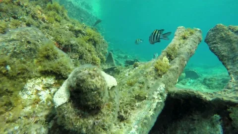 Underwater view of a large rock Stock Footage 155405114