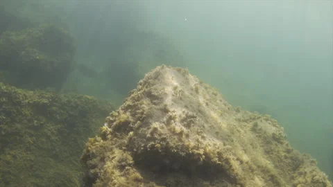 Underwater view of large rocks covered in algae and marine growth, with sunlight Stock Footage 342953973