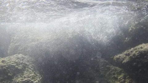 Underwater view of large rocks covered in algae, sunlight refracting through the Stock Footage 343189866