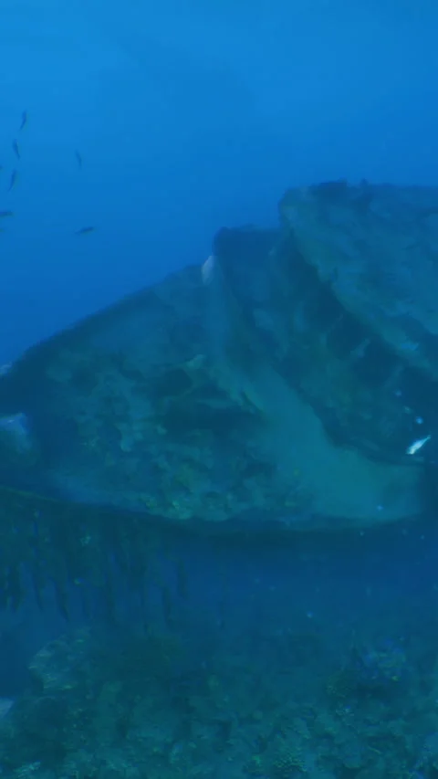 Deep Sea Rocks Stock Videos – Royalty-Free HD & 4K Videos