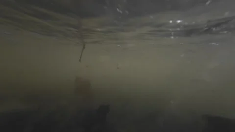 Underwater view of leaves moving in flowing stream Видео 332073096