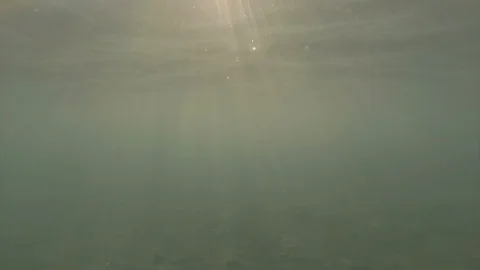 Underwater view of light rays Stock Footage 96484502