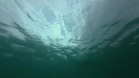 Underwater view looking up at the ocean surface with sunlight filtering through Stock Footage 317170410