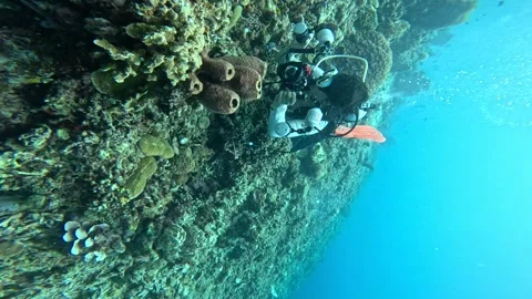 Underwater View Looking Up at Ocean Surface with Light Indonesia Stock Footage 337881399