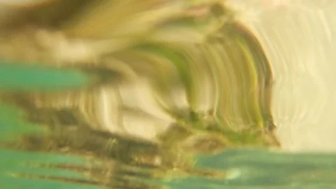 Underwater view looking up at rippling ocean surface with warm golden sunlight Stock Footage 345394730