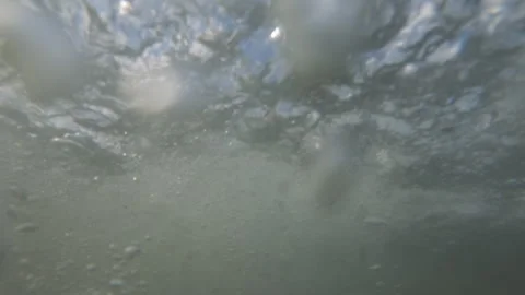 Underwater view looking up through the rippling surface at tree branches above Stock Footage 344829107