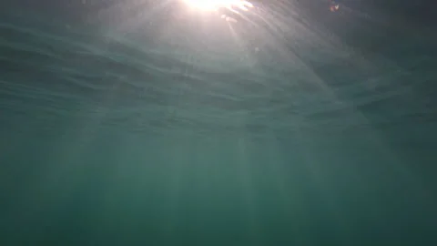 Underwater view looking up toward the sunlit surface with light rays shining Stockbeeldmateriaal 344830288