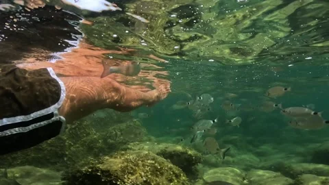 Underwater view of man legs floating with fish Stock Footage 278945478