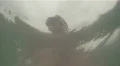 Underwater View Of Mans Face At Beach HD Footage
