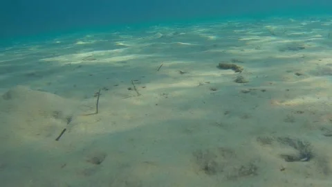 Underwater view of Methoni sandy beach Messenia prefecture, Greece Stock Footage 144727541
