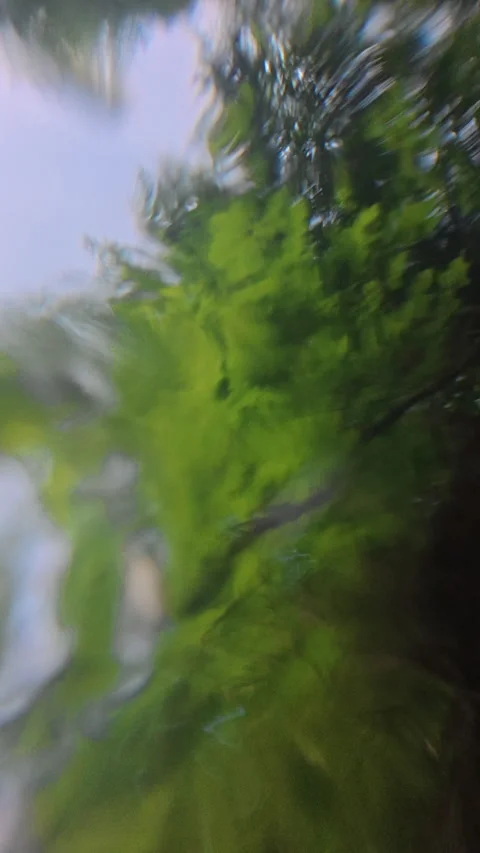 Underwater View of Mountain River and green forest Stock Footage 331564837