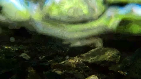 Underwater view of a mountain river, clean water, by01 Stock Footage 137021080