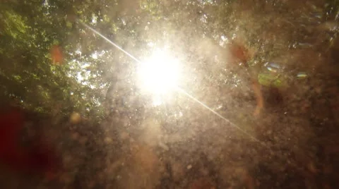 Underwater View in Mountainous River on Sun and Trees Stock Footage 66559556