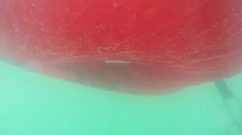 Underwater view of a moving inflatable ring that floating in the water Stock Footage 68563324