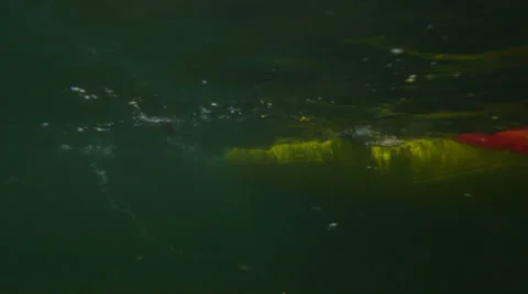 Underwater view of oars pulling through the water. Stock Footage 34482197