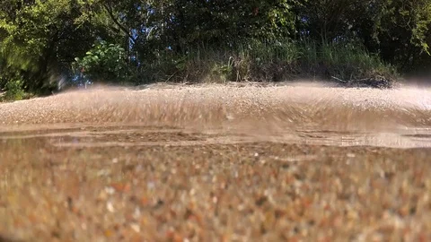 Underwater View or a Lake with Sandy Bottom and Seaweed Stock Footage 89289919