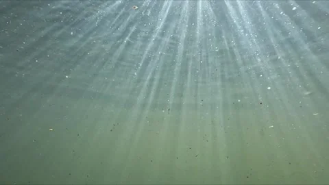 Underwater view of polluted river bed with organic debris and floating part.. Stock-Footage 335227558