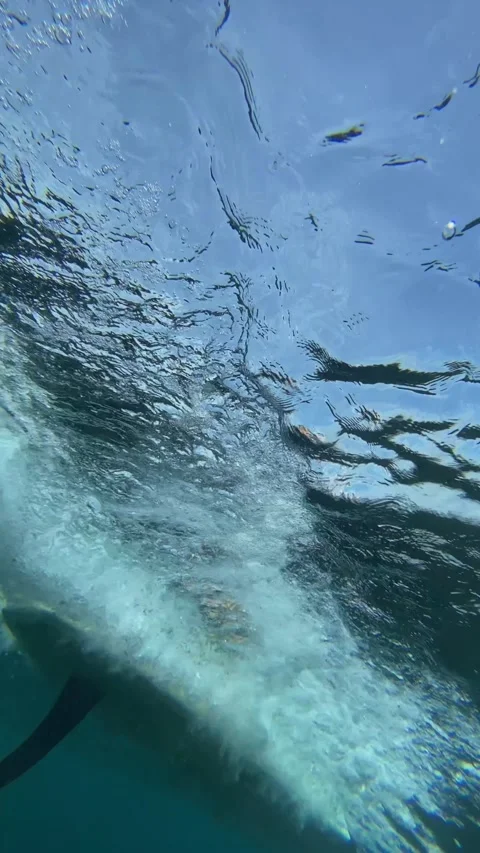 Underwater view of powerful ocean wave.Vertical video Stock Footage 311000329
