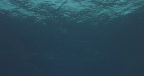 Underwater View of Rain Hitting the Ocean Stock Footage 280106943