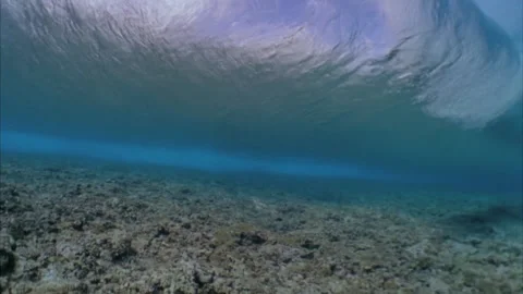 Underwater view of a reef and a wave that breaks Stock Footage 144986624