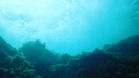 Underwater view of reef with surging waves on the surface Stock Footage 85821721