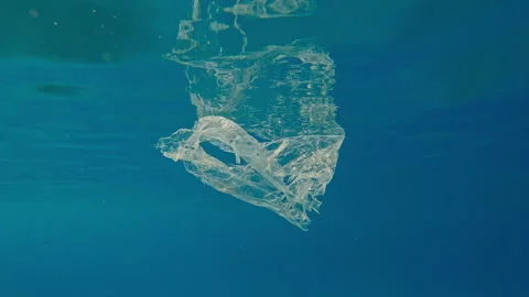 Underwater view of ripped transparent disposable plastic bag drifting in water Stock Footage 339970846