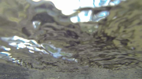 Underwater view of river surface and tree in Alberta Stock Footage 90852901