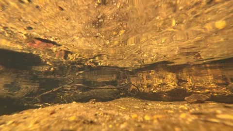 Underwater View of Riverbed with Pebbles and Surface Reflections Stock Footage 342231377